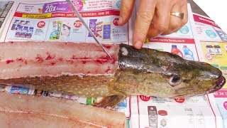 How to Fillet a Pike and Get 5 Boneless Fillets [upl. by Atsev]