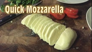 Making Quick Mozzarella at home [upl. by Hanaj37]