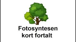 Fotosyntesen  kort fortalt [upl. by Simah923]