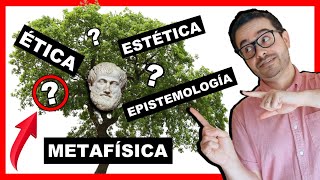 ðŸŒ³ Las RAMAS DE LA FILOSOFIÌA â–º 193 Disciplinas FASCINANTESðŸ˜Ž [upl. by Jariv]