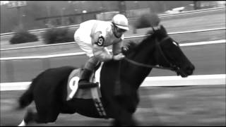 Ruffian the first race music video [upl. by Odanref]