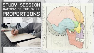 Drawing The Skull  Anatomy amp Proportions Study Session [upl. by Nitsreik]