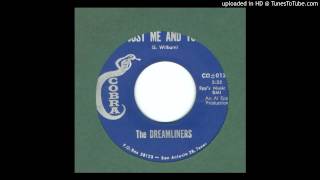 Dreamliners The  Just Me And You  1963 [upl. by Nnylkcaj]