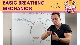 Basic Breathing Mechanics [upl. by Denyse]