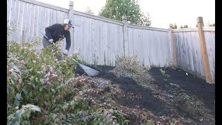 Landscape Prep Steep Slope Erosion Control [upl. by Larok]