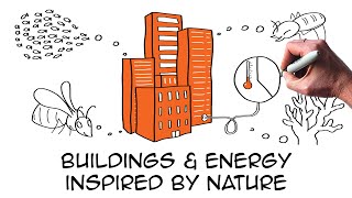 5 amazing biomimicry examples providing real sustainability solutions  Architecture Building Energy [upl. by Sophey]