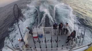 Flathead Fishing off Sydney [upl. by Nelyak]