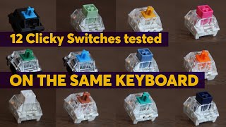 The Ultimate CLICKY SWITCHES Sound Test Compilation  Hear the Difference on a Full Keyboard [upl. by Bourke]