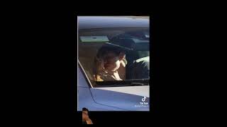 Zendaya amp Tom Holland caught KISSING  Full Live footage  pictures [upl. by Coppinger]