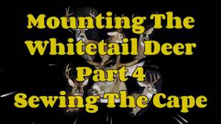 Mounting The Whitetail Deer  Part 4  Sewing The Cape [upl. by Sollars]