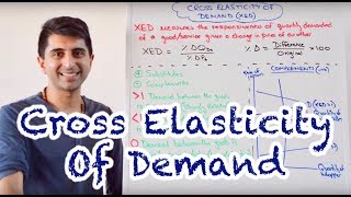 Y1 13 Cross Elasticity of Demand XED [upl. by Thornburg]