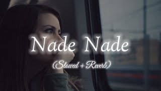 Nade Nade  Alisha Chinoy  Female Version  Slowed amp Reverb  APS VIBES [upl. by Carleen]