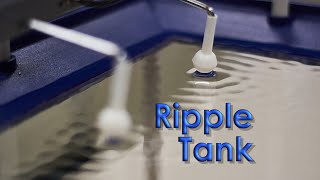 Ripple Tank showing superposition constructive and destructive interference [upl. by Peria]