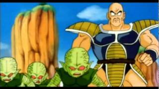 Best Nappa Moments In DBZ Abridged [upl. by Haneen]