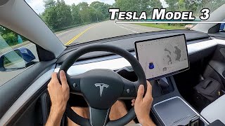 2021 Tesla Model 3 Performance  Is it a Drivers Car POV [upl. by Eijneb]