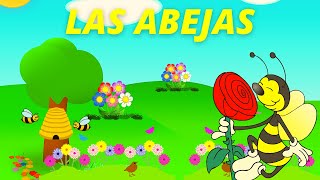 APRENDE sobre las abejas TODO sobre la abejaLA ABEJA para niñosCONOCE a la abeja POLINIZACIÓN [upl. by Godfree]