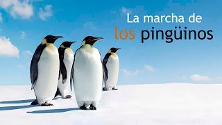 La Marcha de los Pingüinos [upl. by Asenav]