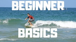 Learn How To Surf In 10 Minutes [upl. by Yhtomit]