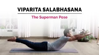 Viparita Salabhasana  Superman Yoga Pose  Steps  Benefits  Yogic Fitness [upl. by Atinoj]