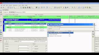 Primavera P6 changing calendars for all activities [upl. by Oidgime]