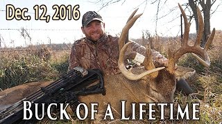 186quot Buck at 7 Yards  Rut Action  Midwest Whitetail [upl. by Alethia829]