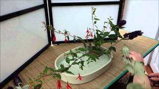 Ikebana in 10 minutes Part 2 [upl. by Peltier855]