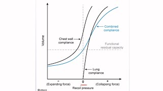 USMLE STEP 1 Questions Lung Compliance Curves [upl. by Ahsekyt]