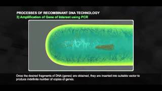 Processes of Recombinant DNA Technology Part 1 512 1 [upl. by Richy]