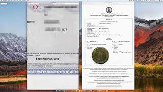 How to Apostille a Virginia Birth Certificate [upl. by Gibby141]