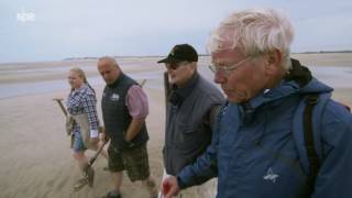 mareTV Amrum Zwischen Kniepsand und Wattenmeer [upl. by Kiona]