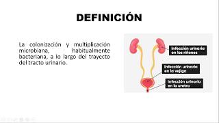 INFECCIÓN DEL TRACTO URINARIO  Clasificación Etiología y Patogenia [upl. by Ynnor]