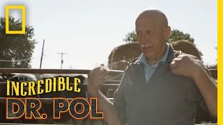 Official Trailer   The Incredible Dr Pol [upl. by Gerick]