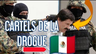 REPORTAGE CHOC  LES CARTELS DE DROGUE AU MEXIQUE [upl. by Dorris]