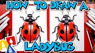 How To Draw A Realistic Ladybug [upl. by Ellennad]