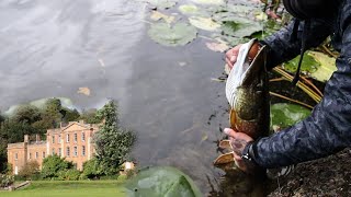 Pike Fishing with Lures ESTATE LAKE [upl. by Greene]