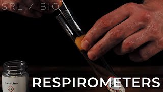 SRL  Bio Respirometers A level  IB biology [upl. by Aicirt953]