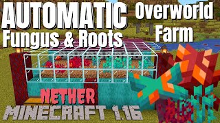 Minecraft 116 Survival Farms Crimson Fungus amp Warped Fungus Farm also Roots Bonemeal Farm OP [upl. by Von]