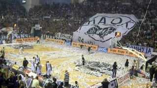 Amazing fans in Greece PAOK [upl. by Lourie]