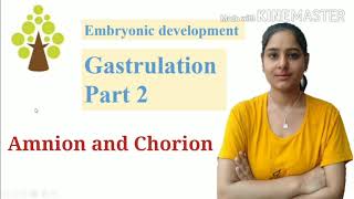 Introduction to Embryology  Fertilisation to Gastrulation Easy to Understand [upl. by Xer]