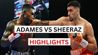 Hamzah Sheeraz vs Carlos Adames Highlights amp Knockouts [upl. by Jean774]