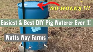 Easiest DIY Pig Waterer Ever  Dont cut holes in your barrels  Read Description Before Drilling [upl. by Jarrid]