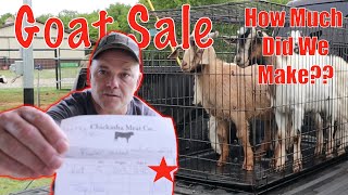 How to Make Money Raising Goats [upl. by Annmarie]