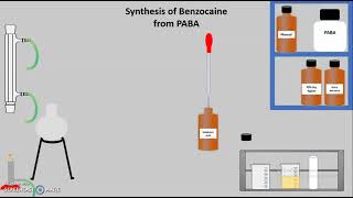 Synthesis of Benzocaine from Para Amino Benzoic Acid PABA [upl. by Frymire]