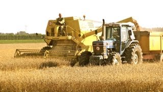 Classic Combine Week 7 New Holland Clayson M140 [upl. by Gilchrist]