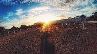 GOPRO  Showjumping up to 1m40 [upl. by Nonnerb]