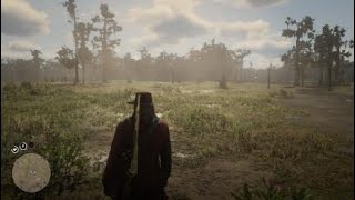 Red Dead Redemption 2 Milkweed Location [upl. by Anivlem85]