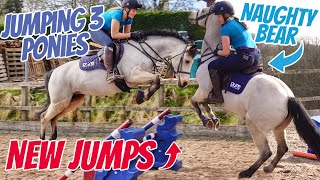 NEW JUMPS JUMPING ALL 3 PONIES  How to make simulated cross country fences with showjumps [upl. by Irret]