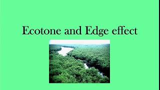 Ecotone and Edge effect  envirocademy [upl. by Stavro]