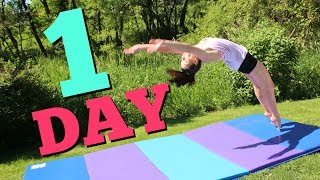 How to get your Back Handspring in ONE Day [upl. by Malvie]