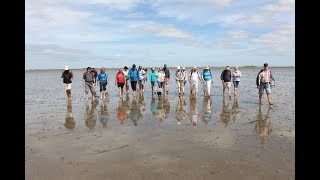 Weltnaturerbe Wattenmeer [upl. by Ariajay]